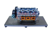 Cylinder Head Anatomy Model